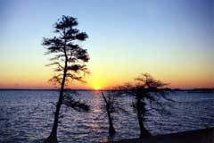 Pelican Point River View